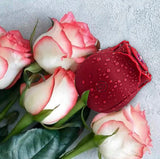 Rose sex toy